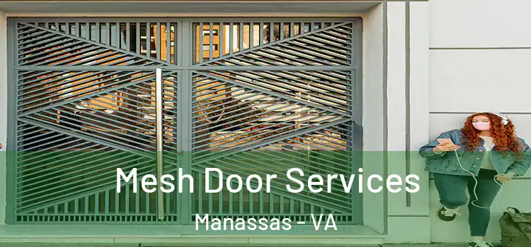 Mesh Door Services Manassas - VA